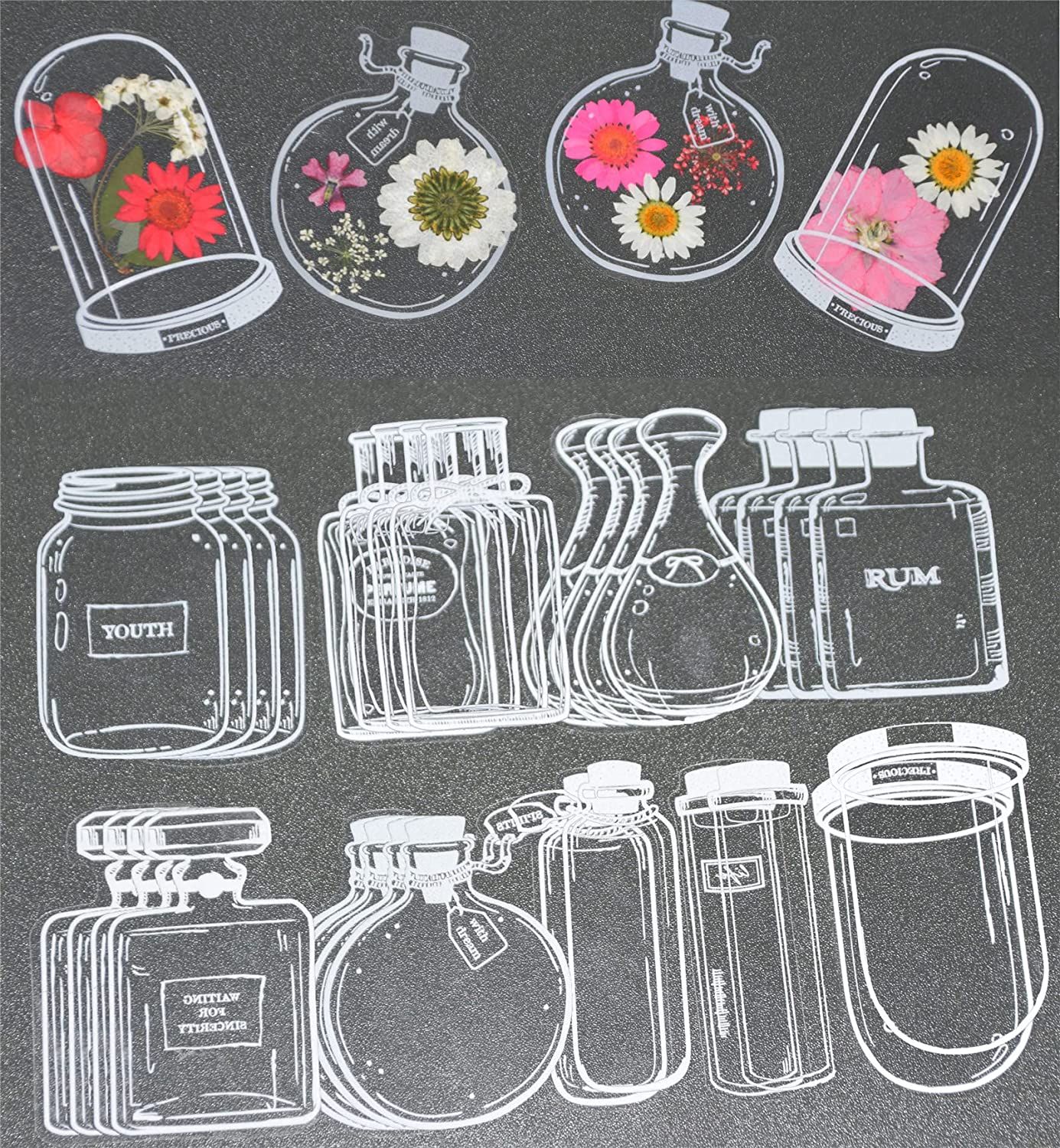 30Pcs DIY Transparent Dried Fl - Dried Flower Bookmark review and price