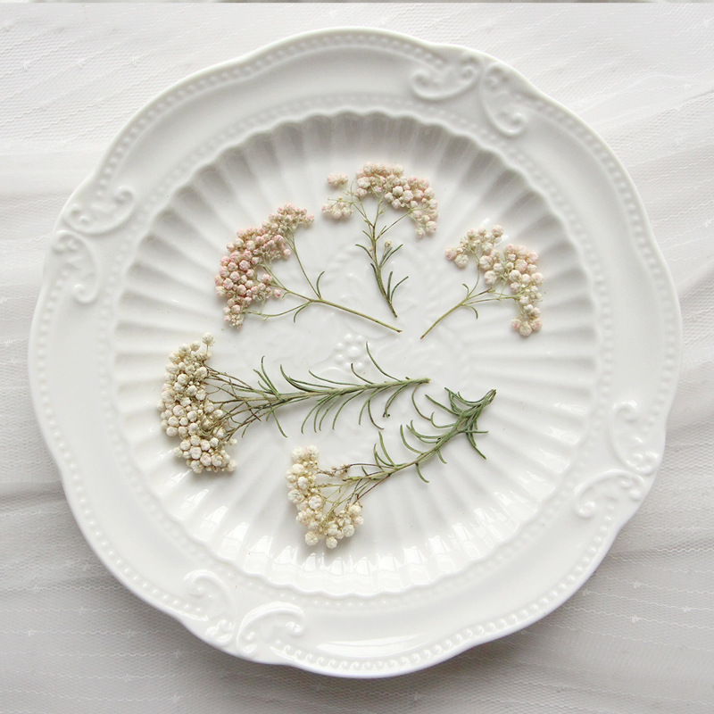 12pcs,Nature Millet flower bra - Dried Flower Bookmark review and price