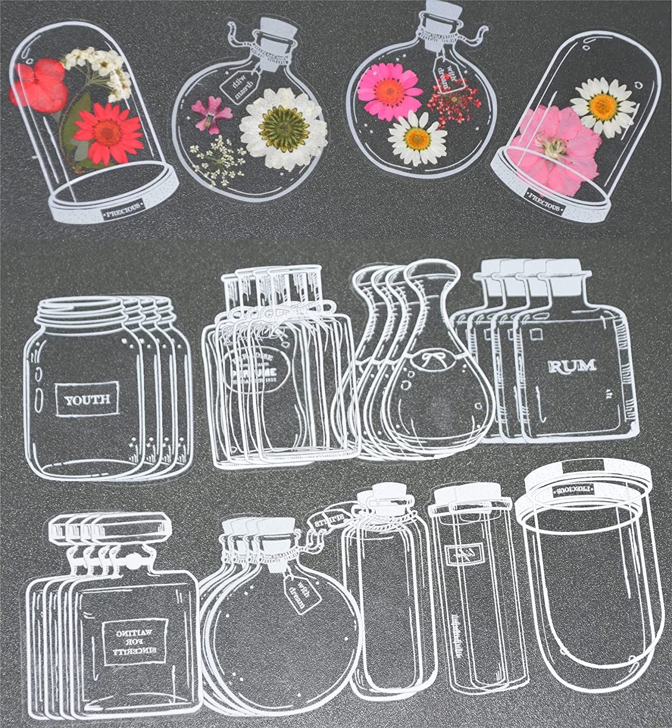 30Pcs Transparent Dried Flower - Dried Flower Bookmark review and price